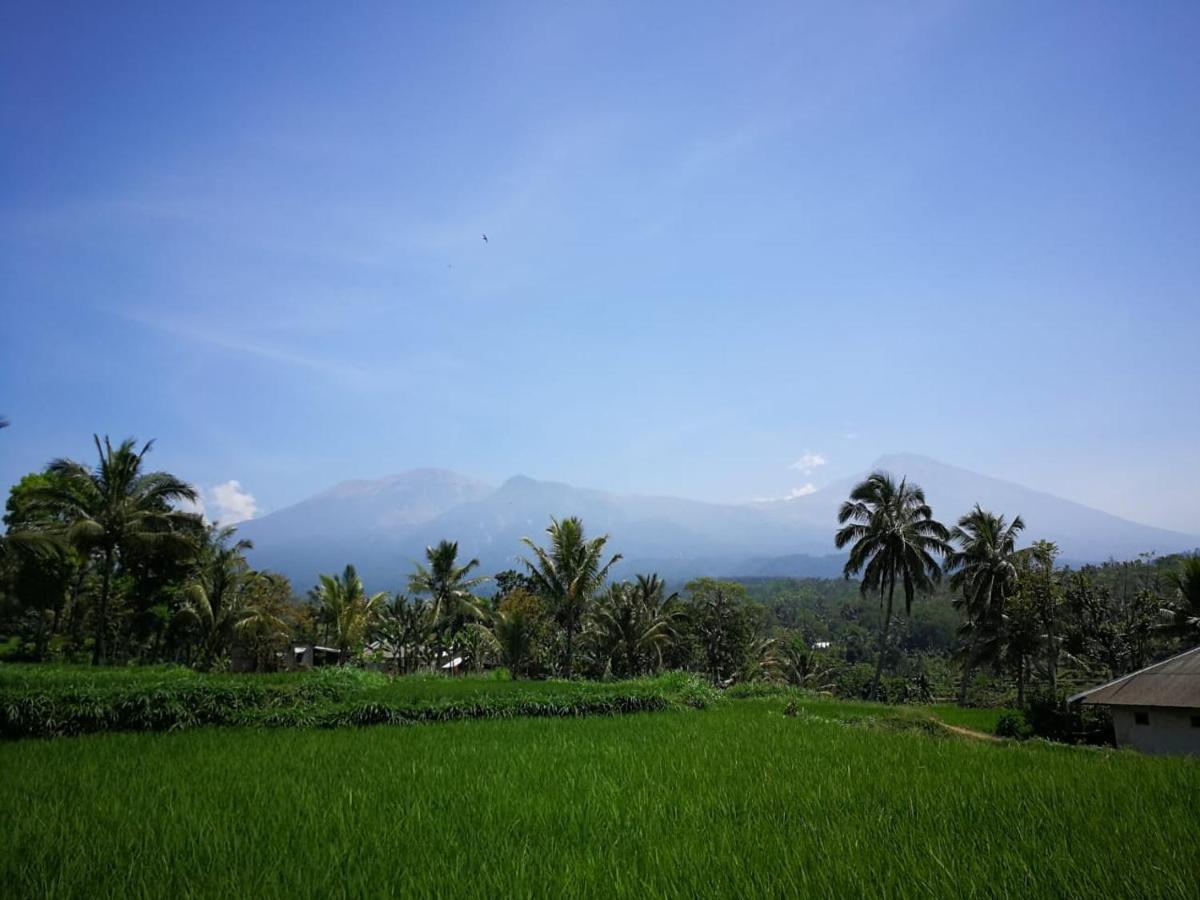 Ariata Arya Hostel Kuta  Exterior photo
